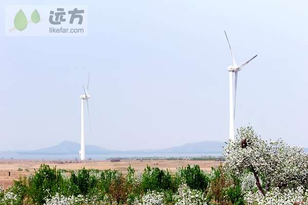 小南辛堡镇天气预报更新通知